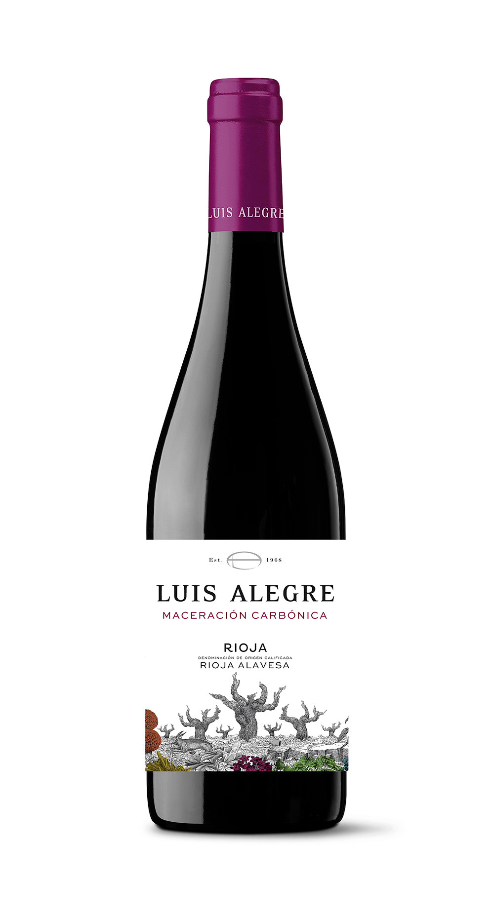 Luis Alegre Maceración Carbónica 2024