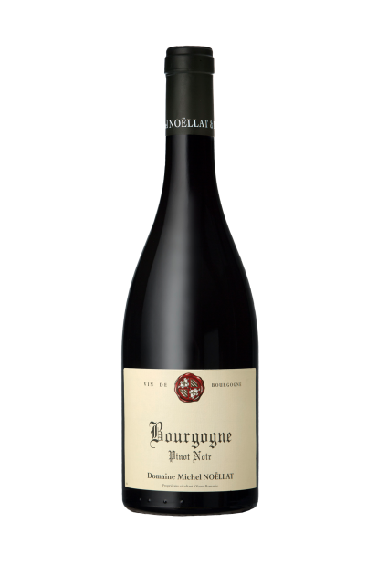 Michel Noëllat Bourgogne Pinot Noir 2017_image