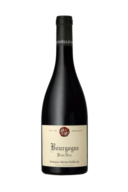 Michel Noëllat Bourgogne Pinot Noir 2020 Image Michel Noëllat Bourgogne Pinot Noir 2020_image